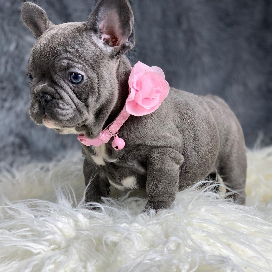 0318d0ba 99e2 49c9 a036 6dd8ce68f91d(1)