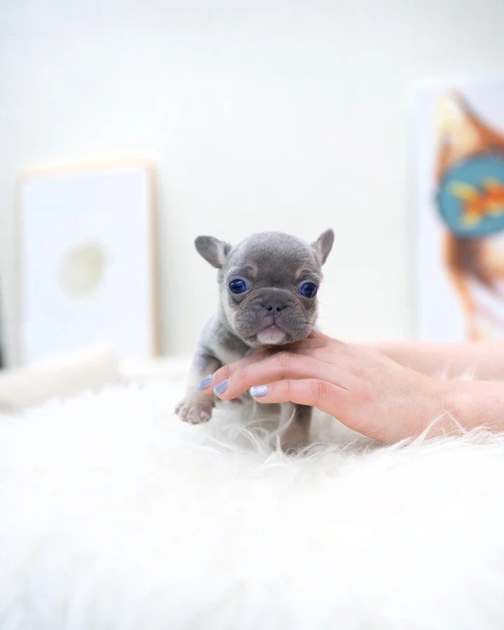 162a6a4f 69f7 462c 91de e56352abcfcb