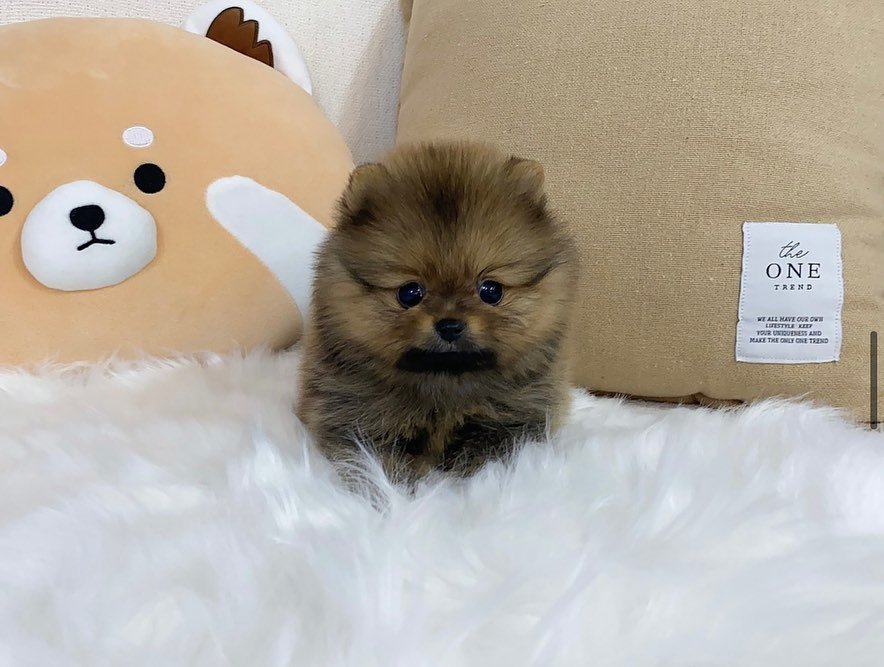 244473272 119789367104944 6614255899744003178 n