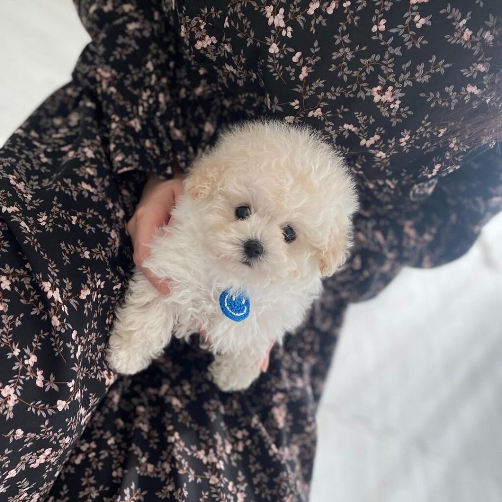 272823249 2254542711354825 4187173389970696378 n