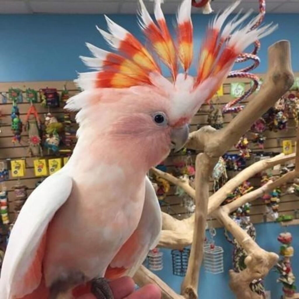 32789dcf 44e2 4e43 ab60 c977ea93e43b