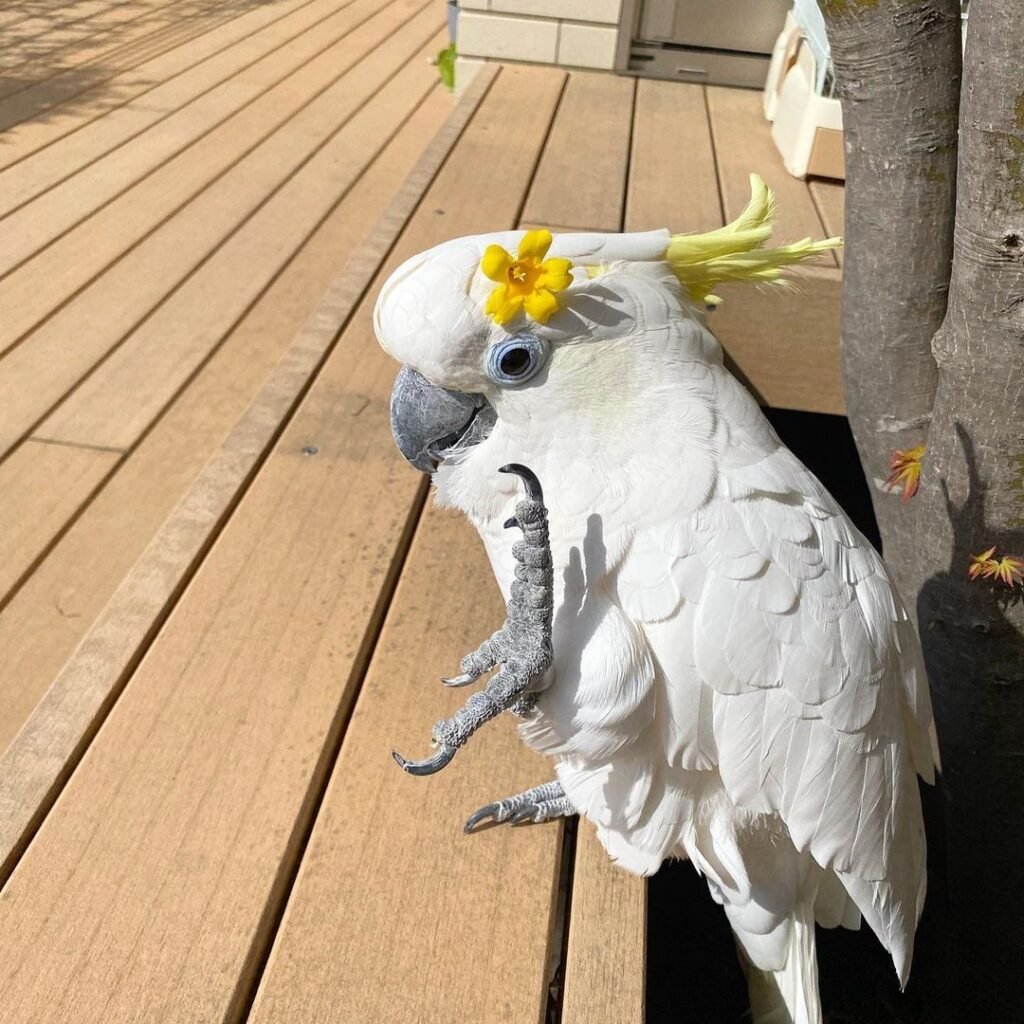 4a7d7230 f4eb 42b6 b20a f3770a09a301