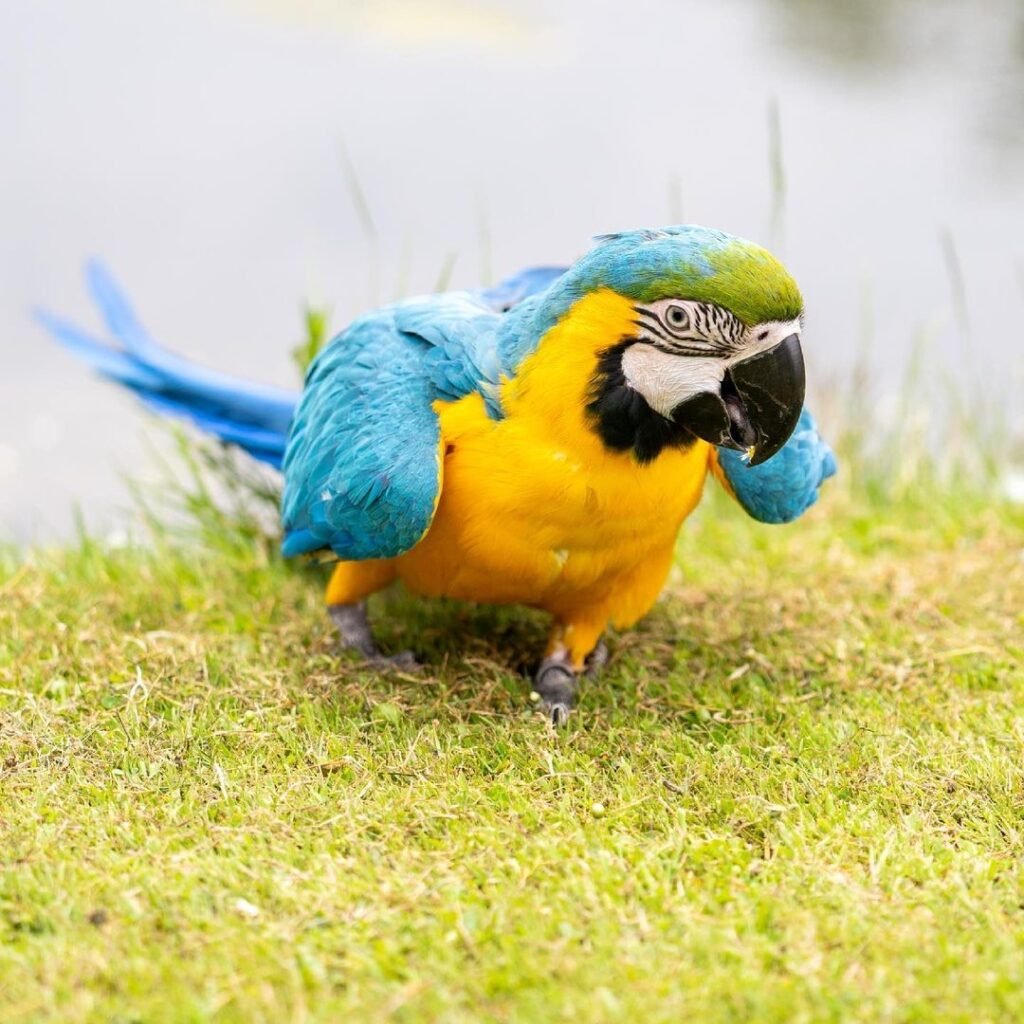 4f0cd1d8 0701 4dba b1f7 9574dde288ce (1)