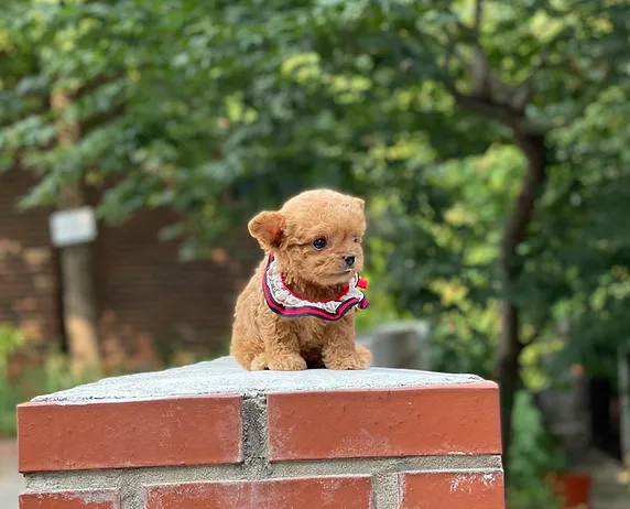 6ea182 28807128f7184fe4a1c0ad281fa9e5a2~mv2