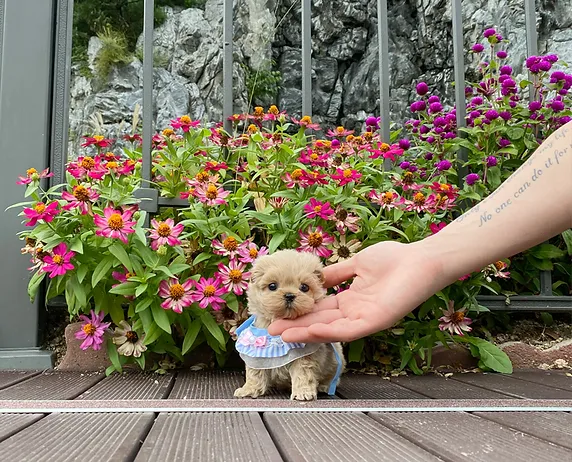 6ea182 2f9563a606af4da89b7e56a91436b055~mv2