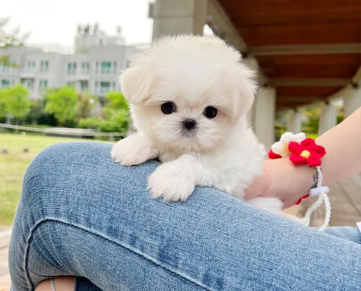 6ea182 b15292b8a59b4b78a7fe3feb61bd67da~mv2