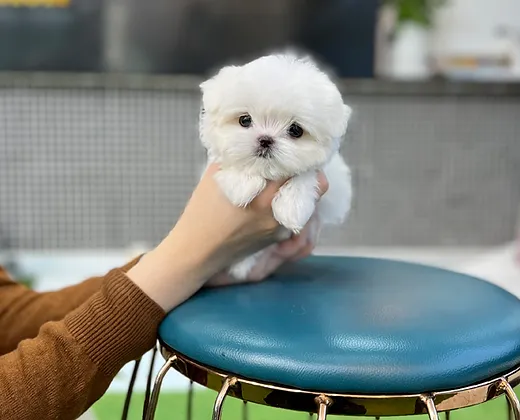 6ea182 ce223d76414b44eba01be3d1147f276b~mv2