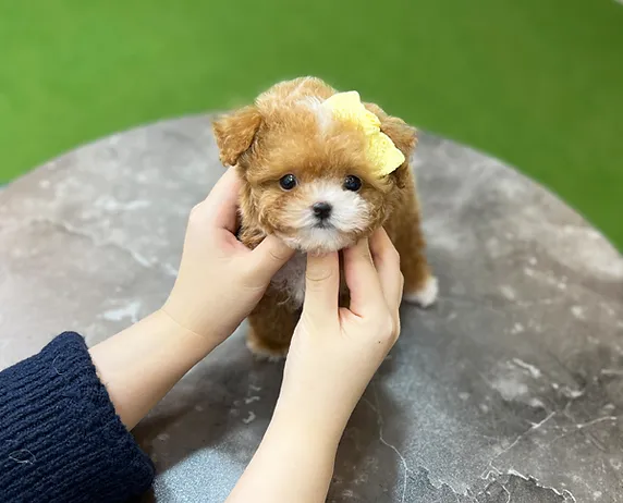 6ea182 cff8cd3a864140729148090628496872~mv2