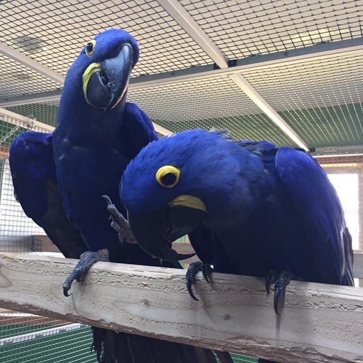 95359433 a120 4996 ba36 a75286687adc