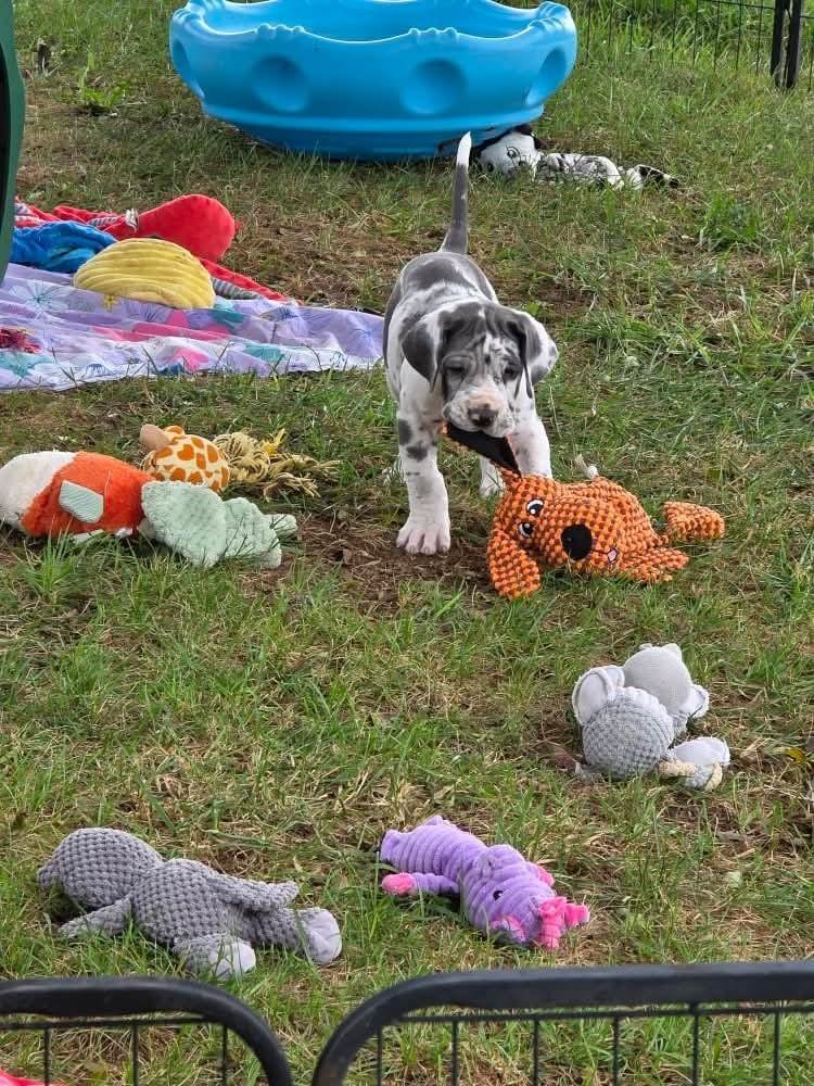 WhatsApp Image 2025 09 30 At 13.07.41 804b0988