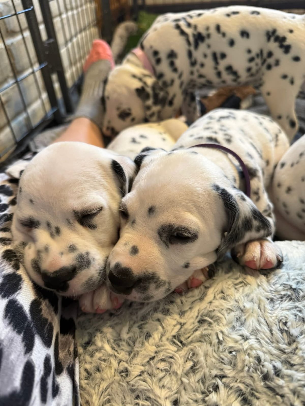 WhatsApp Image 2025 09 30 At 13.09.20 6f572ebf