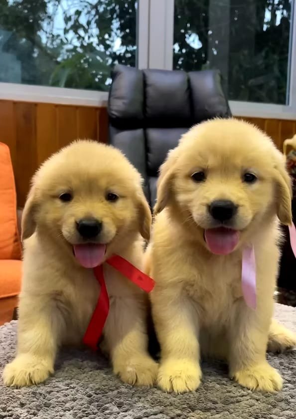 whatsapp image 2025 10 20 at 13.17.15 c6ad2262