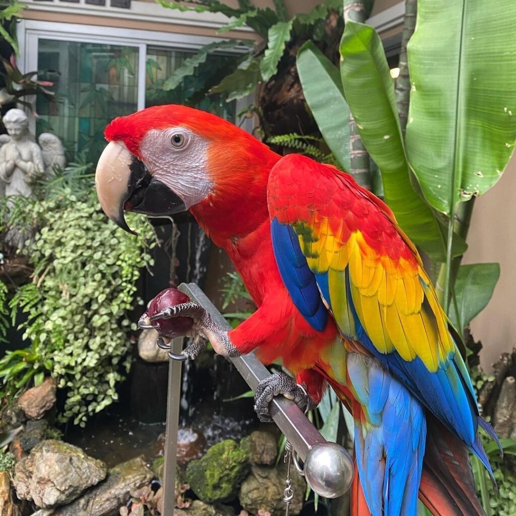 e2427b7b 7b4a 47a2 9929 ded0afa6f798